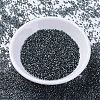 MIYUKI Delica Beads SEED-MY11-DB2166-2
