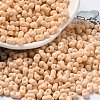 Baking Paint Glass Seed Beads SEED-K009-01A-21-1