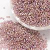 8/0 Round Glass Seed Beads SEED-J017-F8-640-1