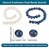 2 Strands 2 Colors Natural Cultured Freshwater Pearl Beads Strands PEAR-BBC0001-23-2