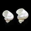 Natural Spiral Shell Beads SSHEL-N034-126-2
