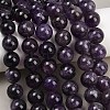 Natural Amethyst Round Bead Strands G-L170-12mm-02-7