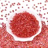6/0 Gradient Color Glass Seed Beads SEED-N007-36G-2