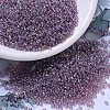 MIYUKI Round Rocailles Beads SEED-JP0008-RR0256-1