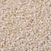 MIYUKI Delica Beads SEED-X0054-DB1874-3