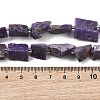 Natural Charoite Beads Strands G-D101-B17-5