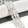 Natural Jade Beads Strands G-M420-D15-01-2