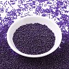 MIYUKI Round Rocailles Beads SEED-X0054-RR0308-2