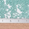 MIYUKI Delica Beads SEED-X0054-DB1576-4
