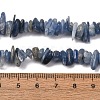 Natural Kyanite/Cyanite/Disthene Chip Beads Strands X-G-E271-78-4