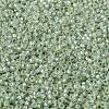MIYUKI Round Rocailles Beads SEED-X0056-RR2354-3