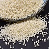 MIYUKI Delica Beads SEED-JP0008-DB0762-1