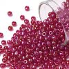 TOHO Round Seed Beads X-SEED-TR08-0165B-1