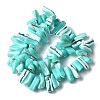 Dyed Natural Trochus Shell Beads Strands SSHEL-C013-09M-2