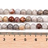 Natural Mexican Agate Beads Strands G-G345-B01-6mm-5