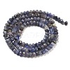 Natural Tanzanite Beads Strands X-G-G161-B14-01-3