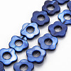 Freshwater Shell Beads Frames Strands SHEL-T009-14D-1