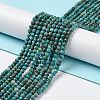 Natural Chrysocolla Beads Strands G-P514-A03-02-2