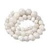 Natural White Moonstone Beads Strands G-Q169-E08-01-3