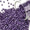 Cylinder Seed Beads X-SEED-H001-H13-1