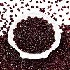 Picasso Spray Painted Glass Seed Beads SEED-T006-04-28-1