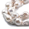 Natural Nucleated Pearl Beads Strands PEAR-B004-15C-03C-3