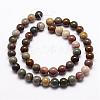 Natural New Ocean Jasper Bead Strands G-G954-01-10mm-2