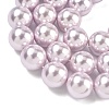 Electroplated Shell Pearl Beads Strands BSHE-G041-16mm-06-3