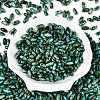 Baking Paint Glass Seed Beads SEED-N008-06I-2