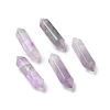 Natural Fluorite Double Terminal Pointed Pendants G-C007-02B-09-1