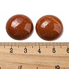 Natural Red Jasper Cabochons G-C115-02A-29-3
