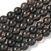 Natural Ice Obsidian Beads Strands G-P590-A03-10mm-02-2