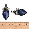 Dyed Natural Lapis Lazuli Pendants GG-CBACC2B-05AS-02-3
