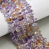 Natural Ametrine Beads Strands G-Z124-A02-02-1