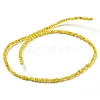 Natural White Shell Dyed Beads Strands BSHE-Z005-03F-2