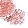 FGB Transparent Glass Seed Beads SEED-N013-01C-04-1
