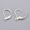 316L Surgical Stainless Steel Leverback Earring Findings STAS-E194-03S-2