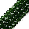 Glass Beads Strands EGLA-A044-T6mm-D24-1