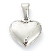 304 Stainless Steel Pendants LS-STAS-P278-01T-P-2