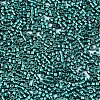 FGB 11/0 Grade A Glass Seed Beads X-SEED-S030-1216-2