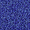 12/0 Glass Seed Beads SEED-S005-8-3
