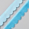 Single Face Velvet Ribbons OCOR-WH0077-69-1