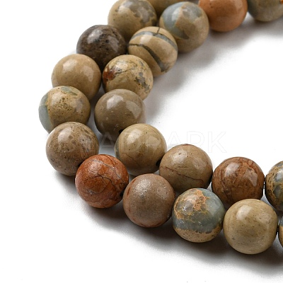 Natural Aqua Terra Jasper Beads Strands G-E444-14B-8mm-1