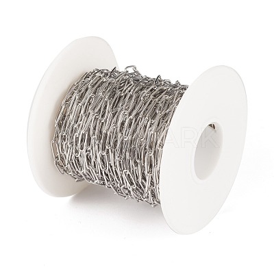 Tarnish Resistant 304 Stainless Steel Paperclip Chains CHS-F010-01E-P-1