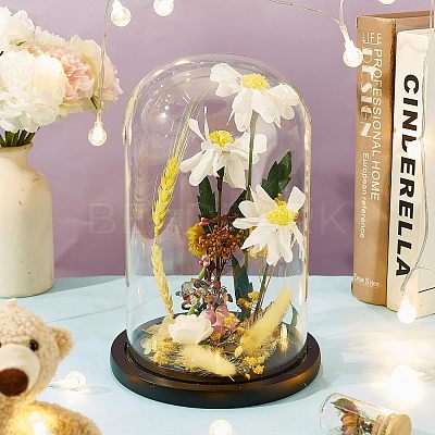 Glass Dome Cover AJEW-WH0001-95A-1