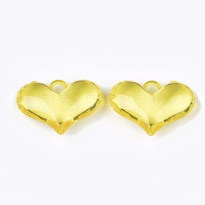 Transparent Acrylic Pendants X-TACR-S133-068-1
