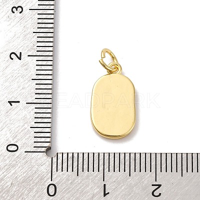 Brass Enamel Pendants KK-Q098-29G-A-1