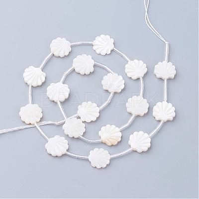 Natural White Shell Beads SSHEL-Q298-06-1