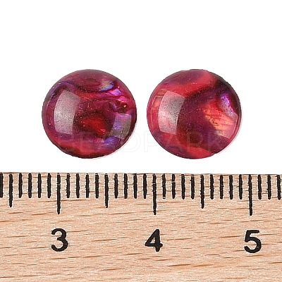 Natural Abalone Shell/Paua Shell Resin Cabochons SSHEL-K003-10MM-02-1
