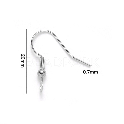 Tarnish Resistant 304 Stainless Steel Earring Hooks STAS-S111-003-1